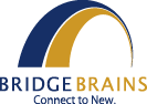 ブリッジブレイン